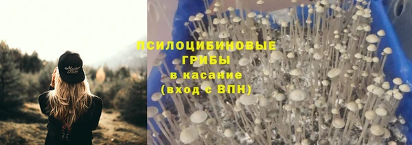 прущая мука Абдулино