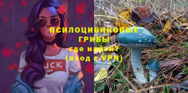 тгк Абаза