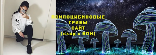 тгк Абаза