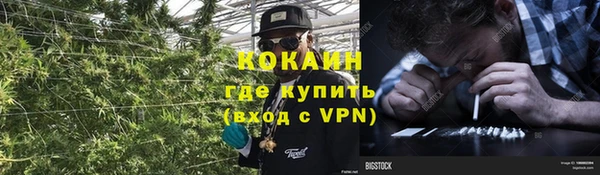 тгк Абаза