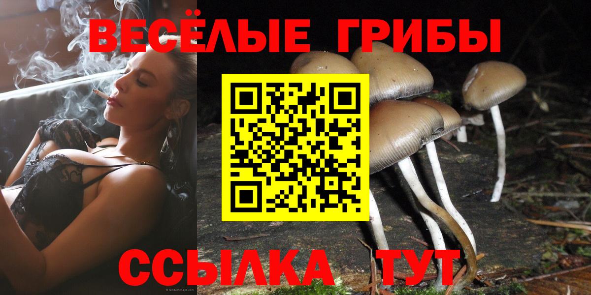 Псилоцибиновые грибы ЛСД  Вход с VPN  Партизанск  Галлюциногенные грибы GOLDEN TEACHER 