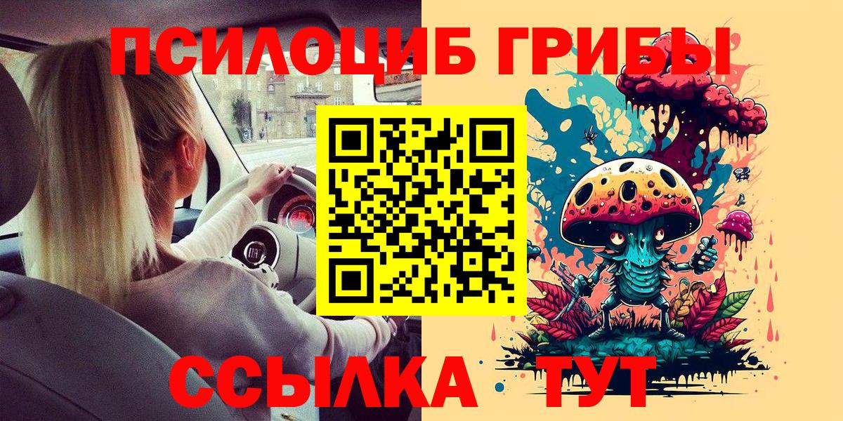 Псилоцибиновые грибы мицелий Партизанск